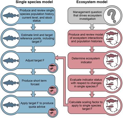 Combining Ecosystem and <mark class="highlighted">Single-Species</mark> Modeling to Provide Ecosystem-Based Fisheries Management Advice Within Current Management Systems